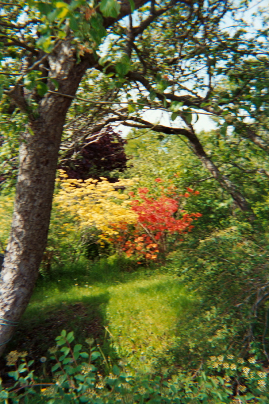 on the path to the cliff