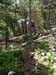 monhegan trail